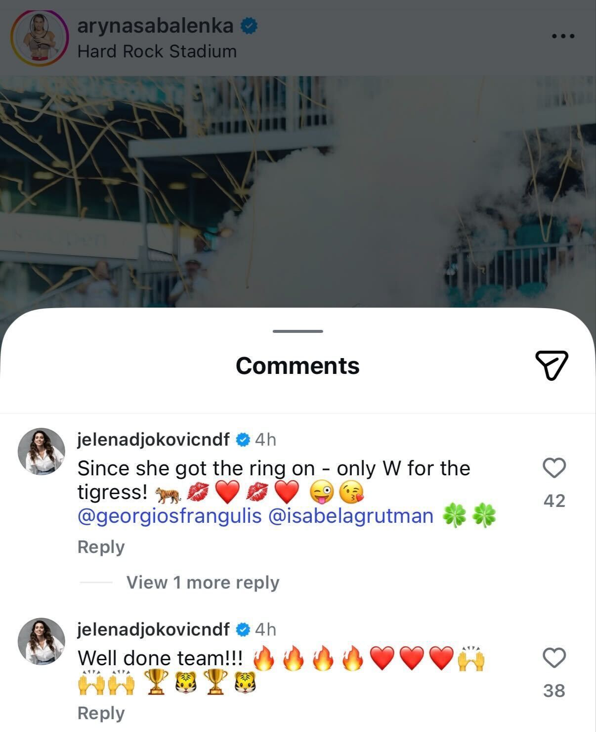 Screen grab of Novak Djokovic’s wife Jelena's comments