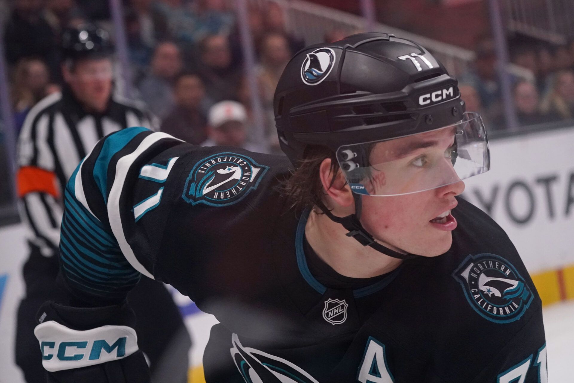 San Jose Sharks center Macklin Celebrini (71) at SAP Center at San Jose.