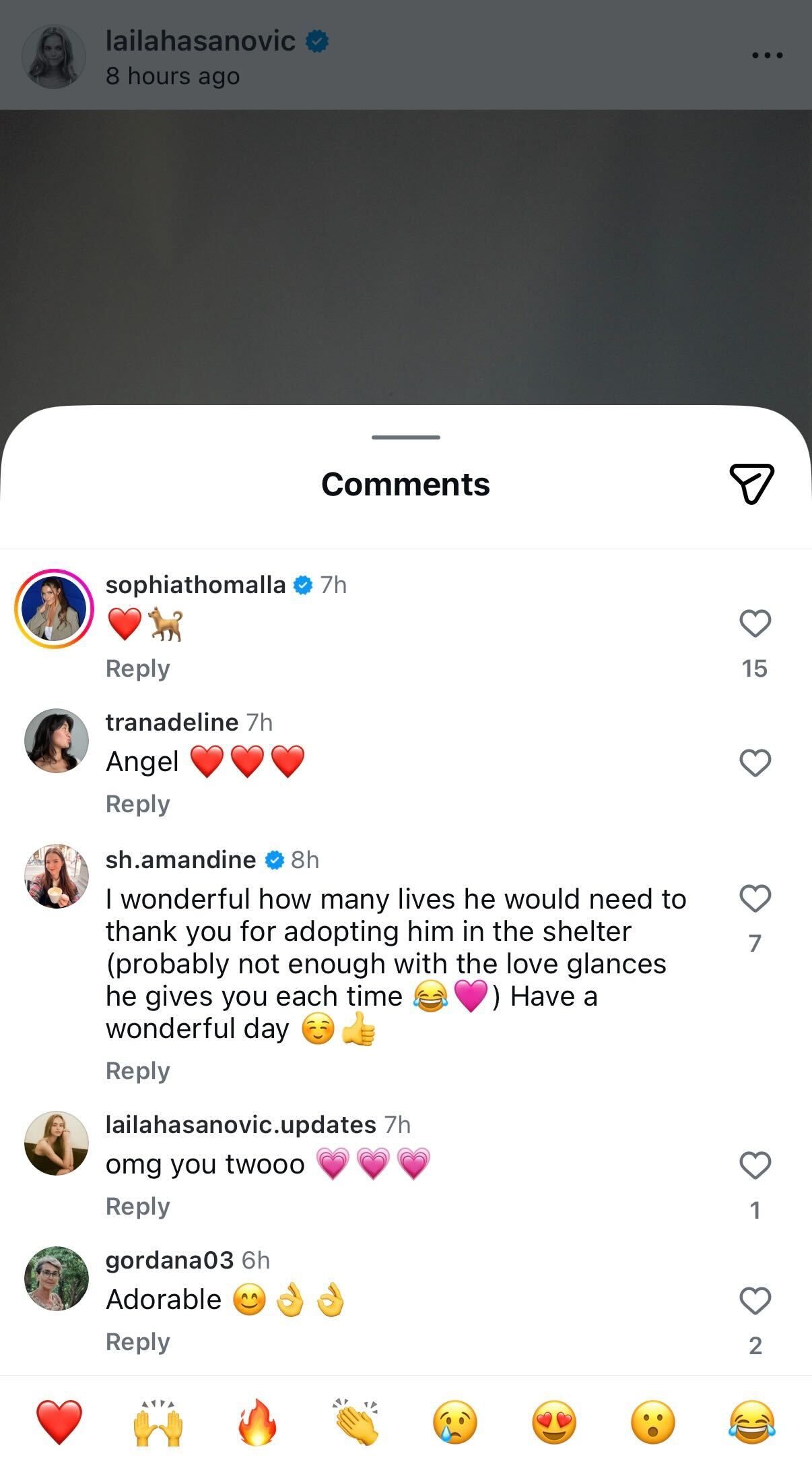 Sophia Thomalla's Comment on Laila Hasanovic's Post