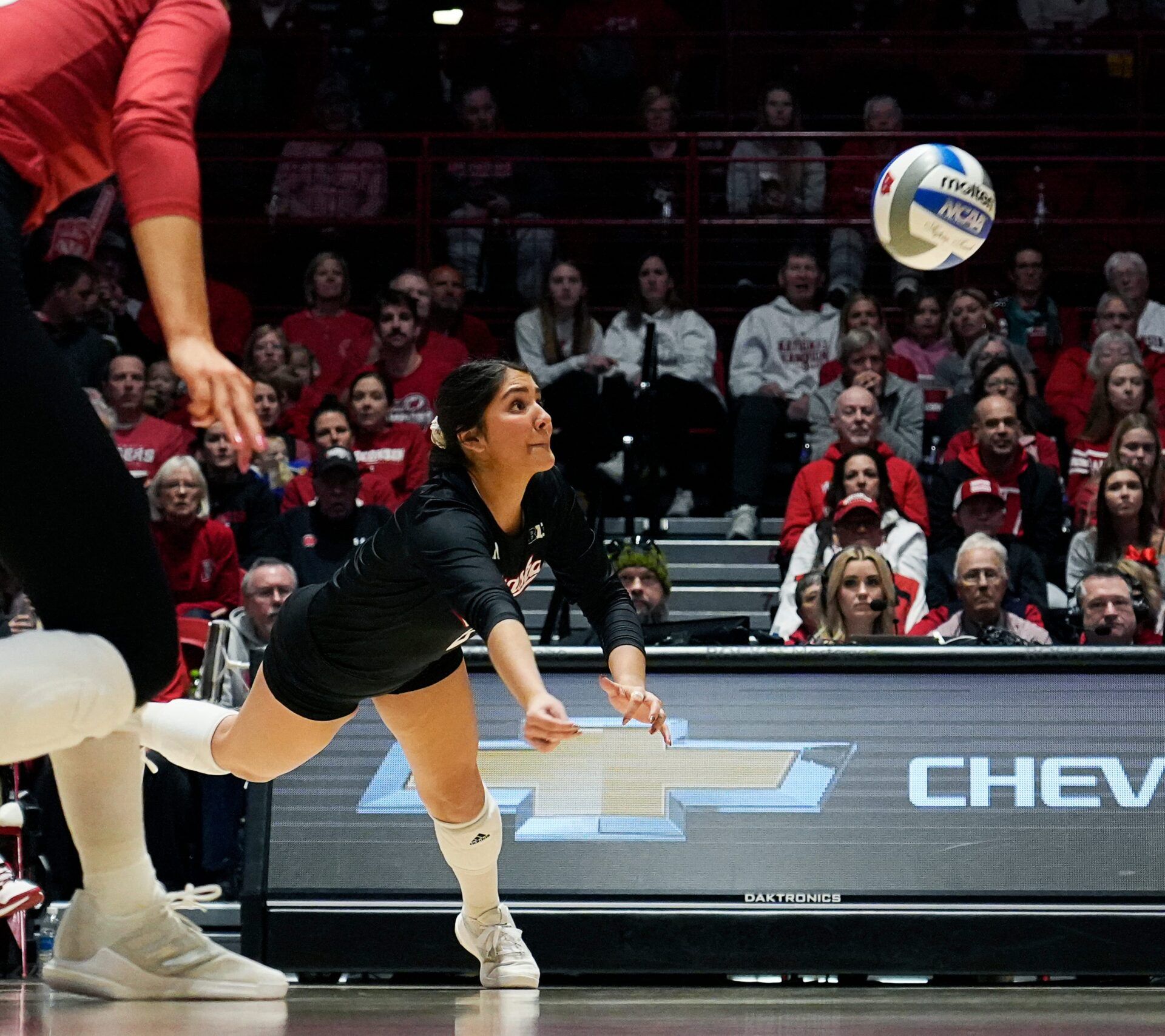 Nebraska libero/defensive specialist Lexi Rodriguez (8) dives for the ball during the second set of the game against Wisconsin on Friday November 24, 2023 at the UW Field House in Madison, Wis.