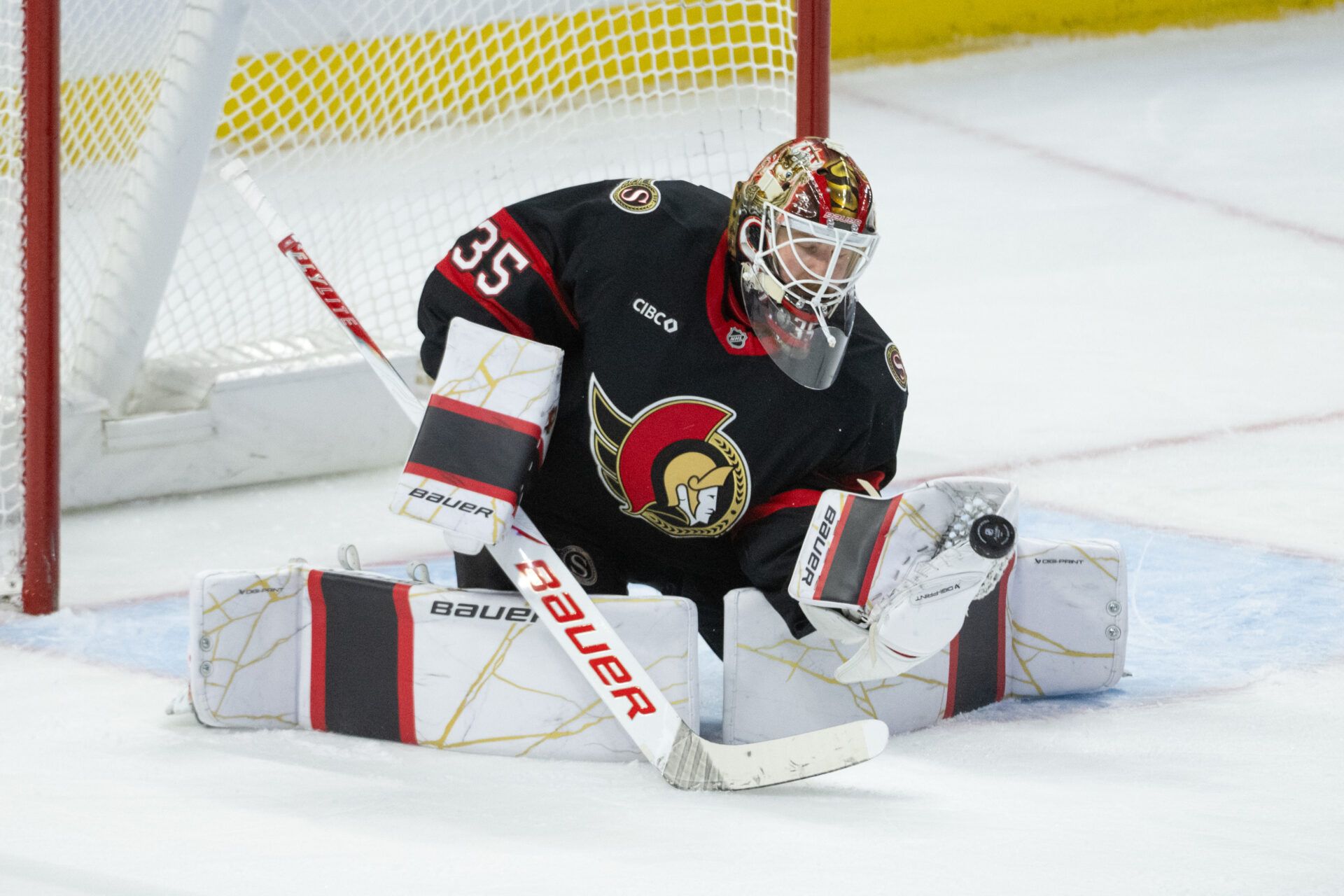 Ottawa Senators goalie Linus Ullmark (35) at the Canadian Tire Centre.