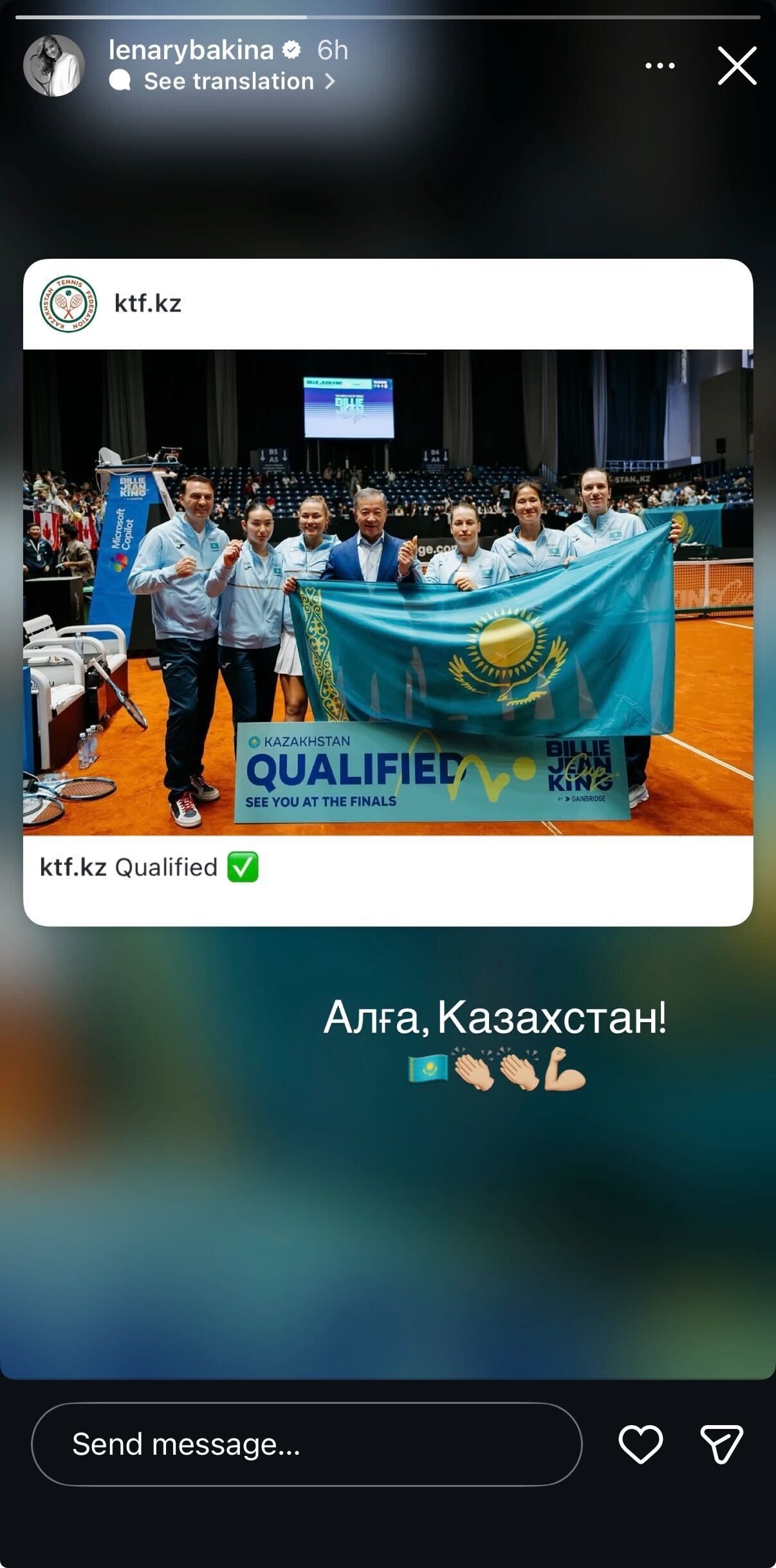 Screengrab of Elena Rybakina's Instagram Story