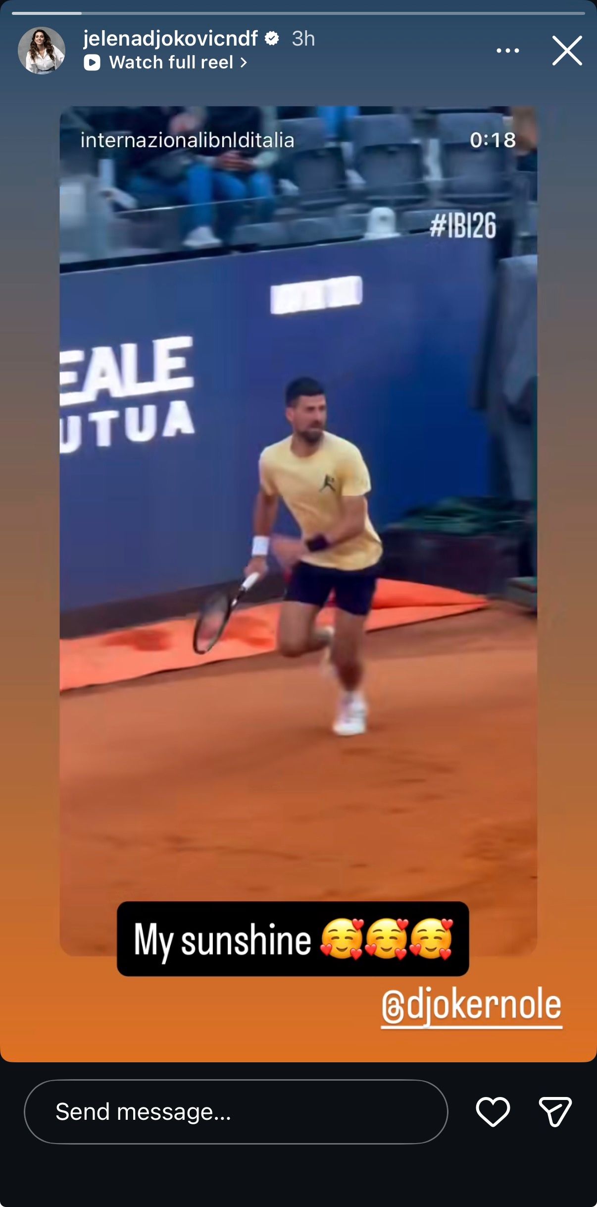 Novak Djokovic's Wife Jelena's Instagram Story