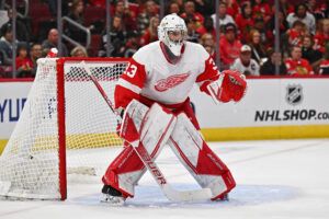 Detroit Red Wings goaltender Sebastian Cossa.