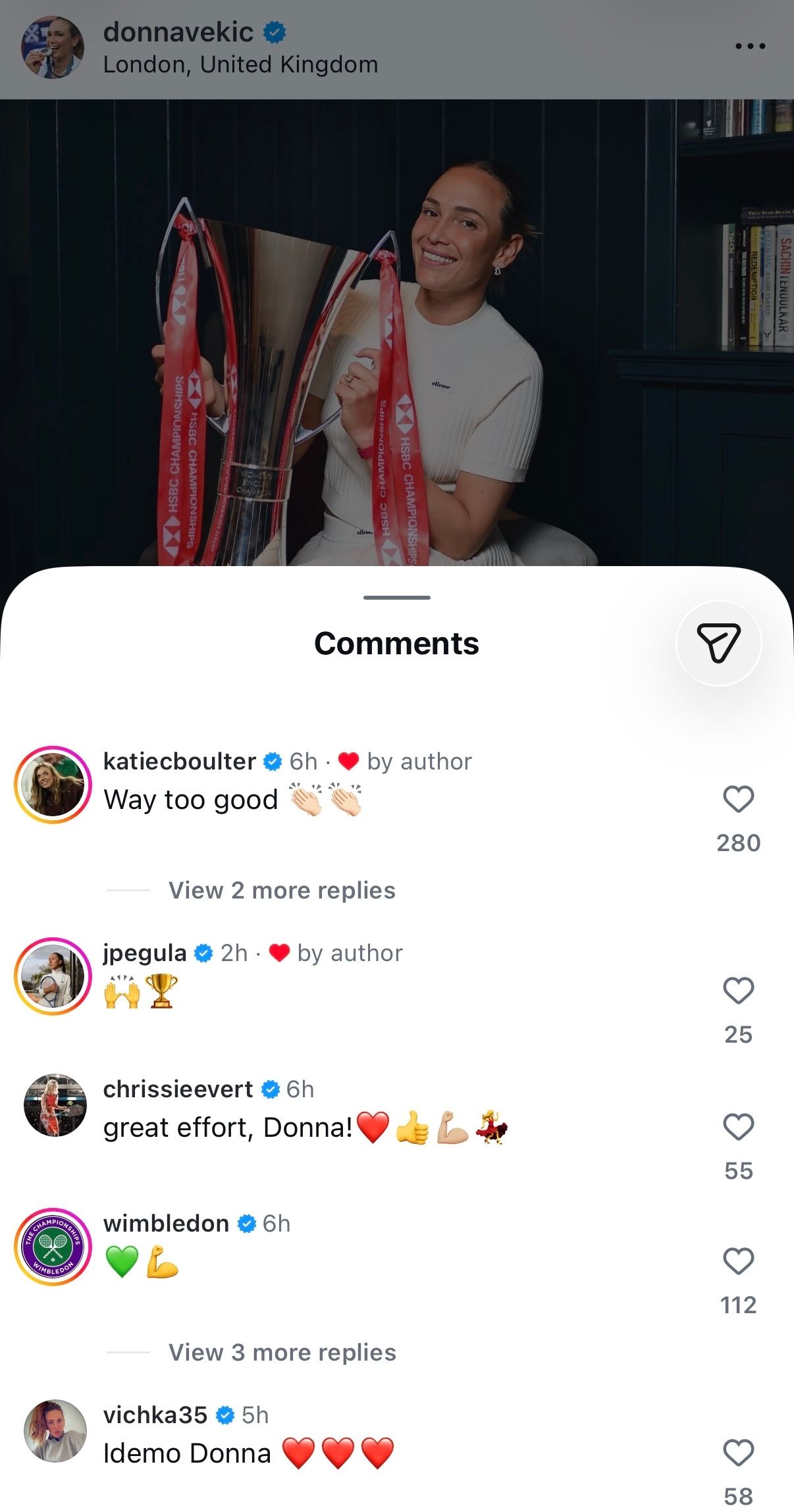 Comments on Donna Vekić's Instagram Post