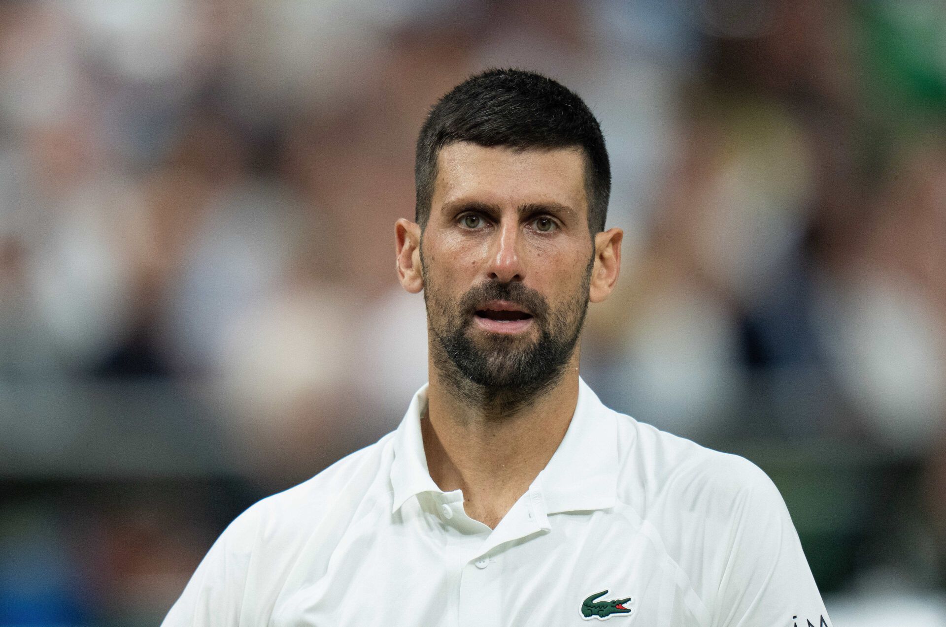 Novak Djokovic of Serbia during his match against Felix Auger-Aliassime of Canada on day nine at All England Lawn Tennis and Croquet Club.
