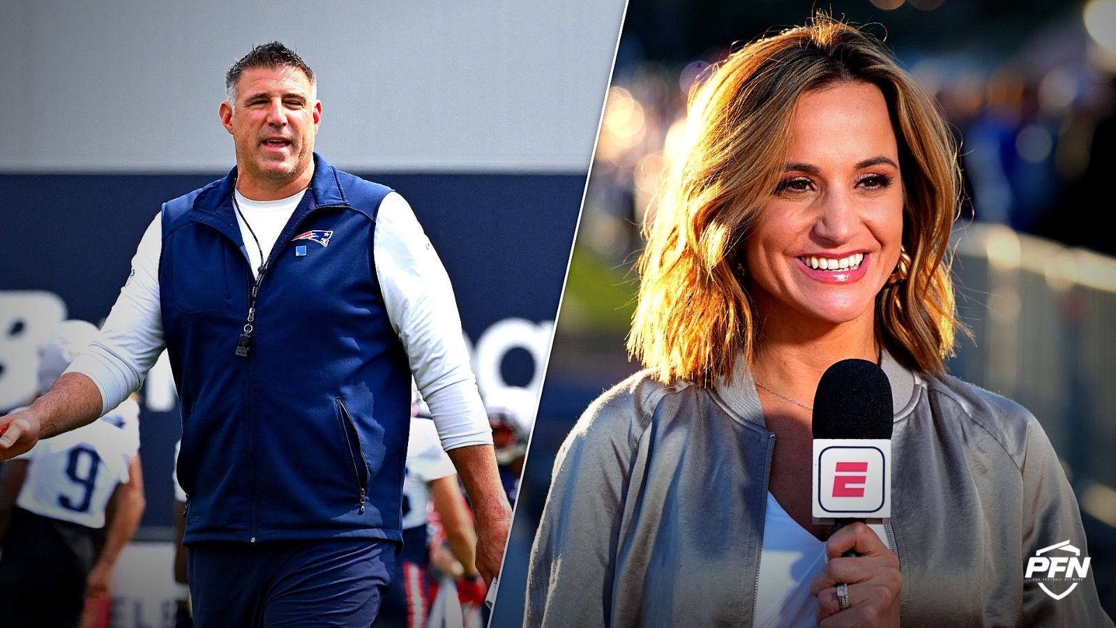 Mike Vrabel, Dianna Russini, source: USA Today Sports