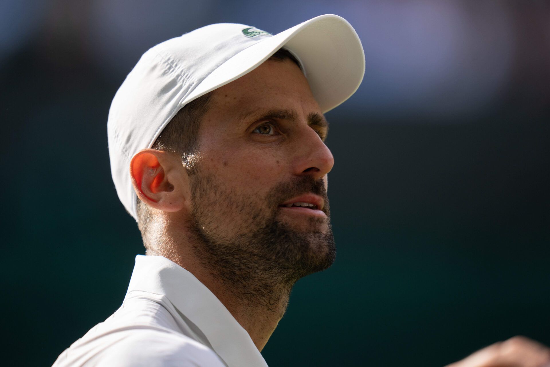 Novak Djokovic of Serbia reacts during his semifinal match against Jannik Sinner of Italy on day 12 at All England Lawn Tennis and Croquet Club.