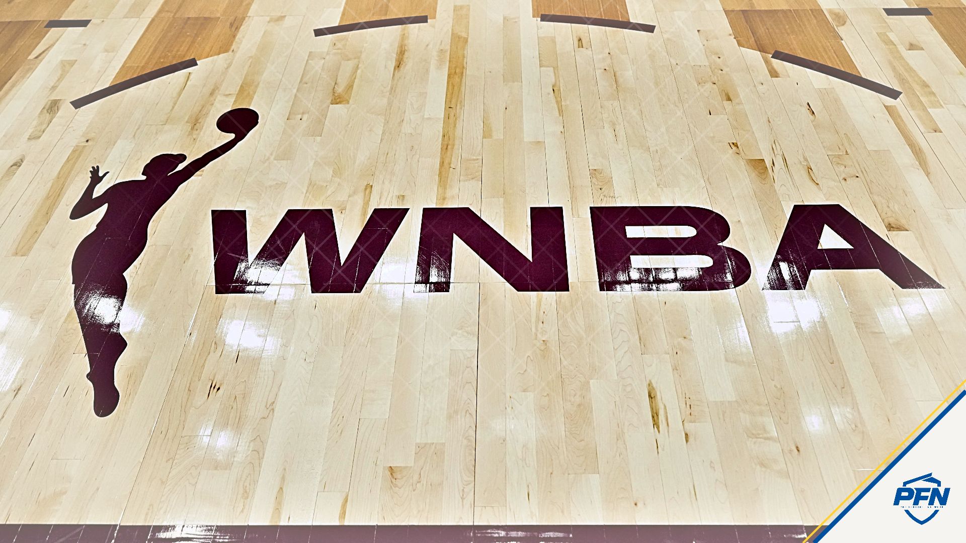 'They've Tried to Shelve This Story' - Fox News Publicly Calls Out WNBA Media Over Trans-Athlete Controversy Coverage